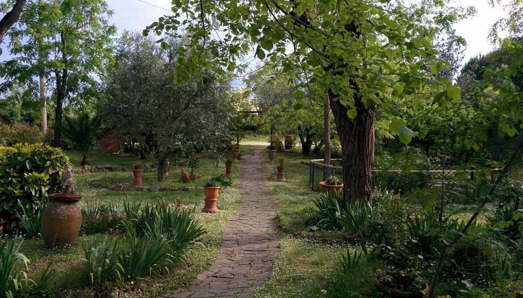 Le Mimose B&B Vinci Exterior photo